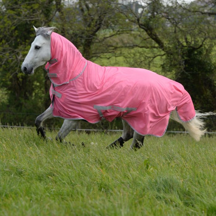Strippen visueel Oranje Goedkope paarden en pony ✓ Bucas Freedom Fly Sheet vliegendeken met hals  Hot Pink Kopen? ✓