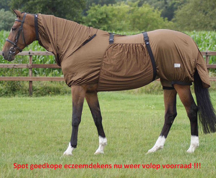 Delegatie oosten slinger Goedkope paarden en pony Paardensportwinkel Reinders Ruitersport Hoogeveen  Drenthe Kopen?