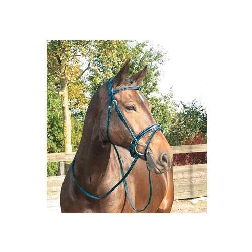 Goedkope paarden en pony ✅ Hoofdstellen Hoofdstellen Goedkope paarden en pony ✅ Hoofdstellen Hoofdstellen